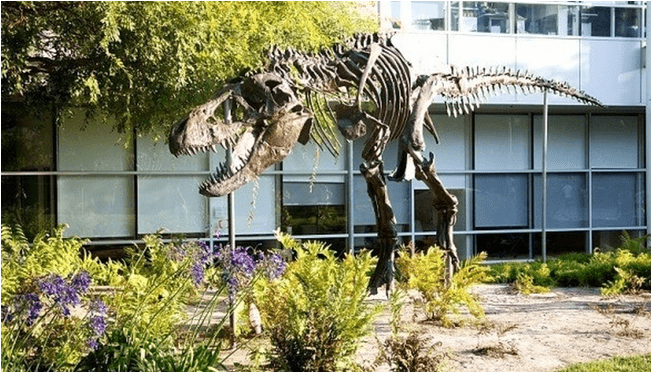 secretos google tiene un Dinosaurio